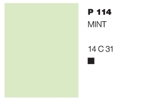 PELELAC MAXICOTE® ΠΛΑΣΤΙΚΟ ΧΡΩΜΑ MINT P114 5L