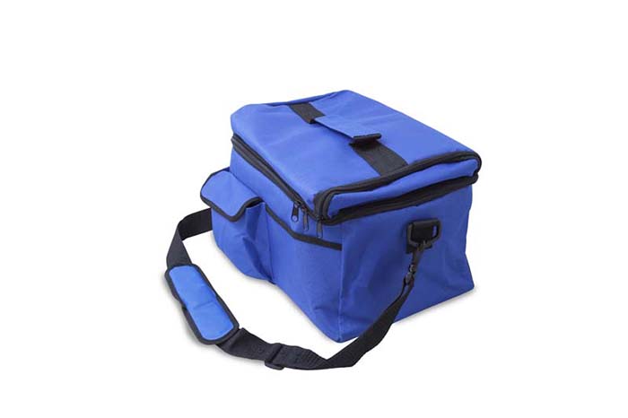 HOMESTAR COOLER BAG 9LT