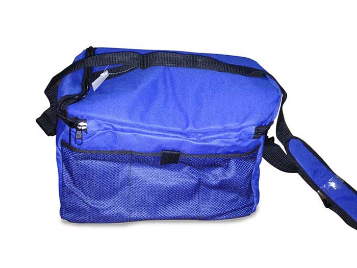 HOMESTAR COOLER BAG 9LT