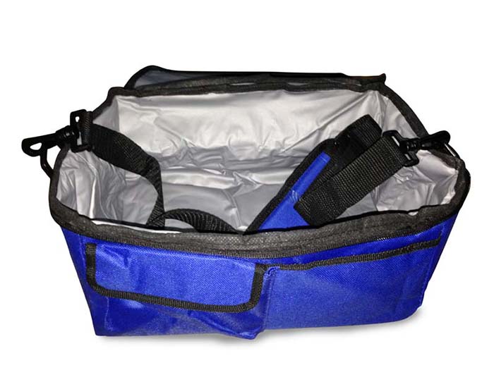 HOMESTAR COOLER BAG 9LT