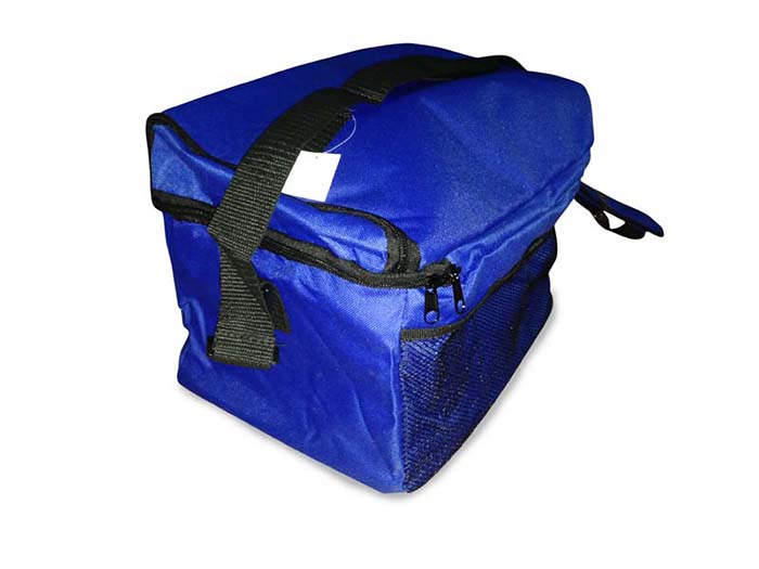 HOMESTAR COOLER BAG 15L