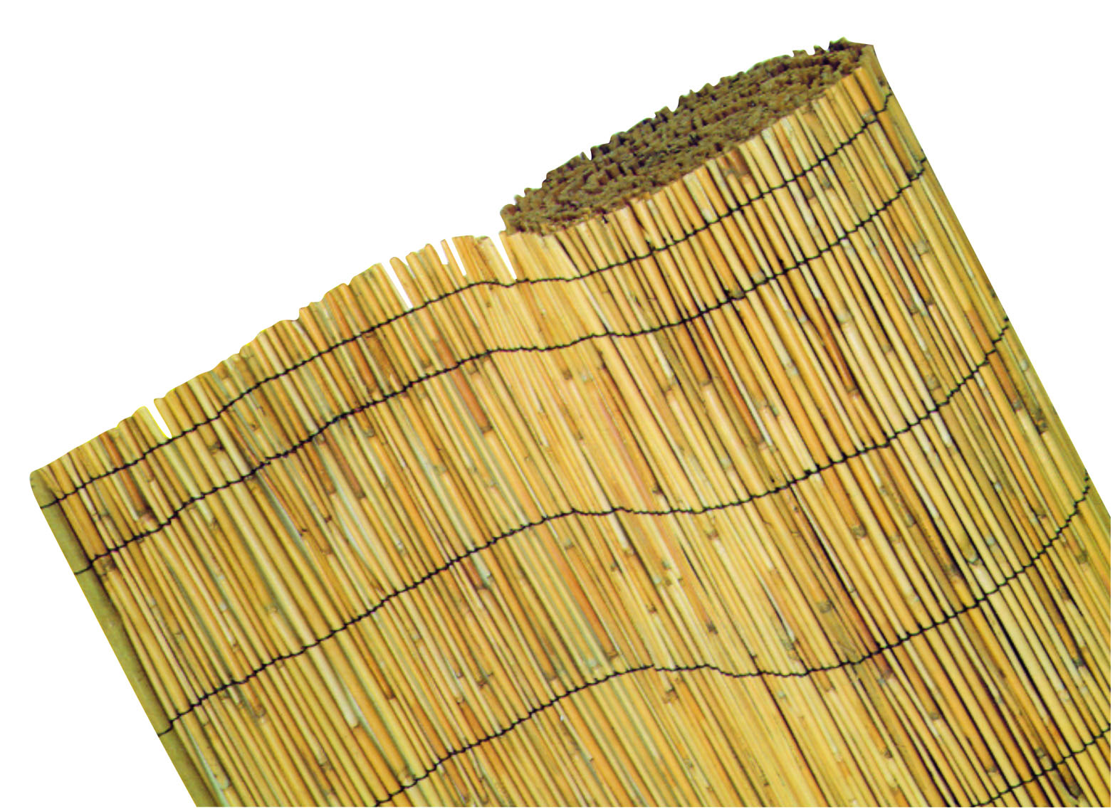 REED ΠΕΡΙΦΡΑΞΗ ΚΗΠΟΥ 1.0X5M