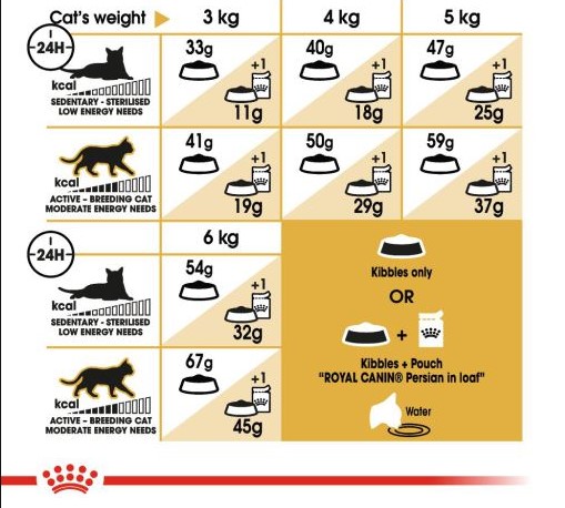 ROYAL CANIN PERSIAN 400GR