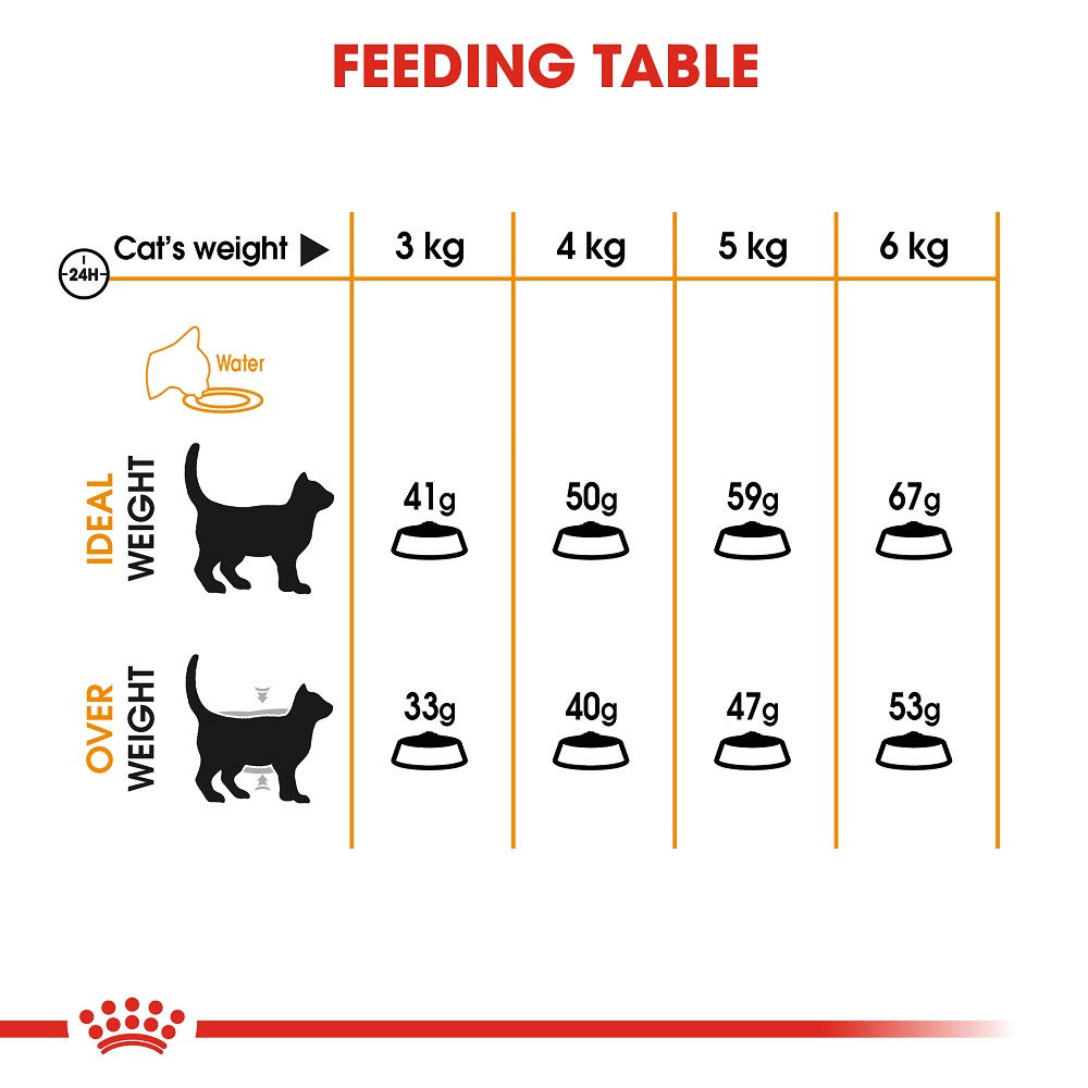 ROYAL CANIN HAIR & SKIN CAT 4KG