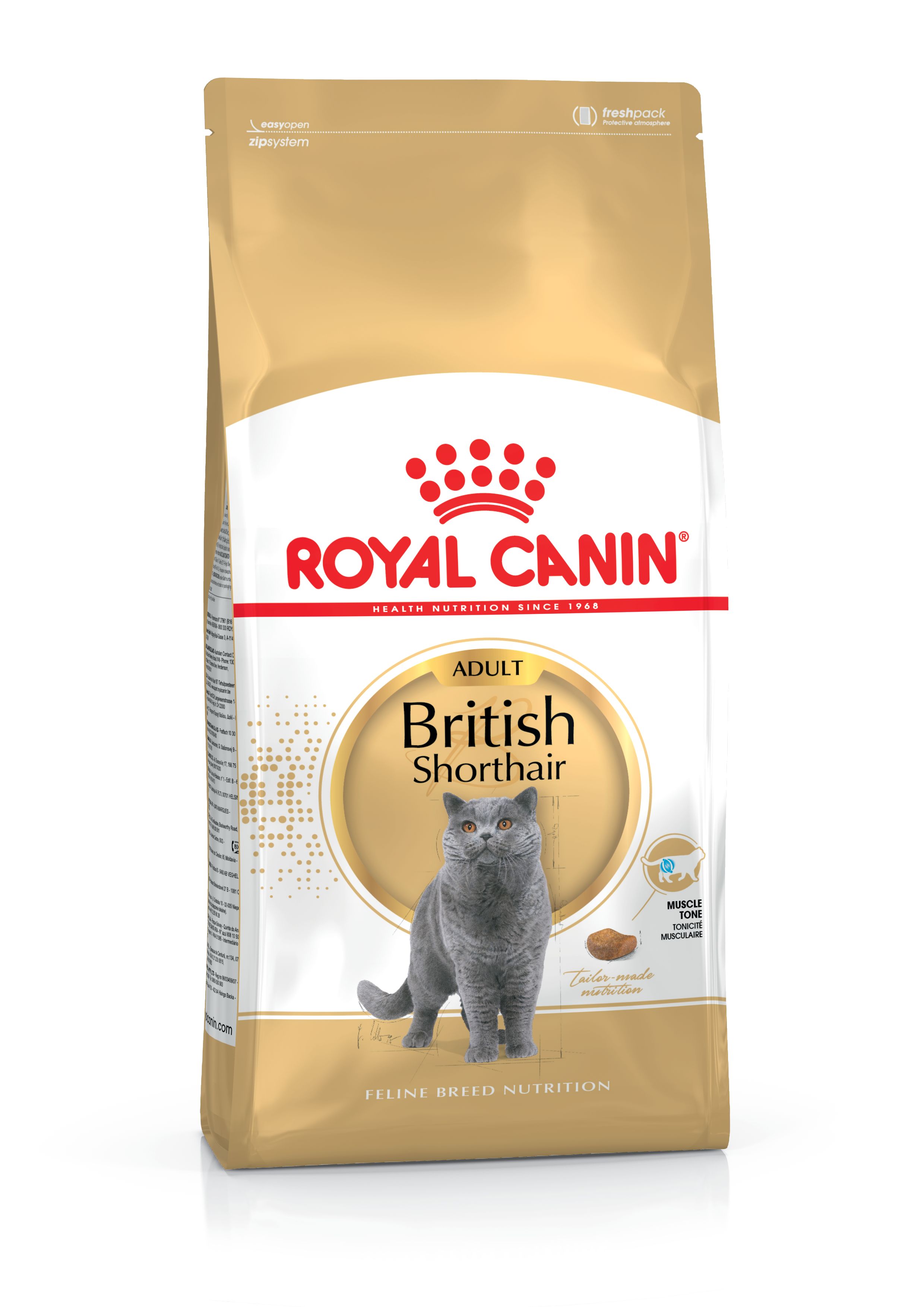 ROYAL CANIN BRISH SHORT HAIR ADULT 4KG