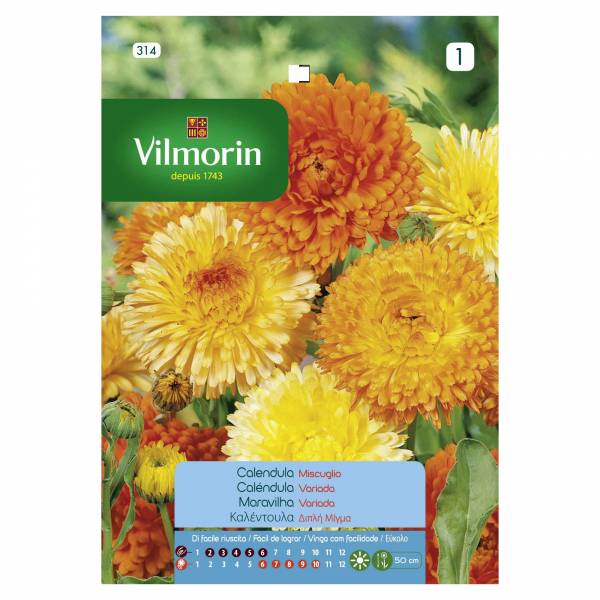 VILMORIN CALENDULA-ENGLISH MARIGOLD DOUBLE MIXED