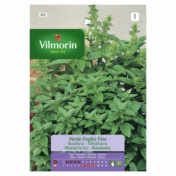 VILMORIN BASIL