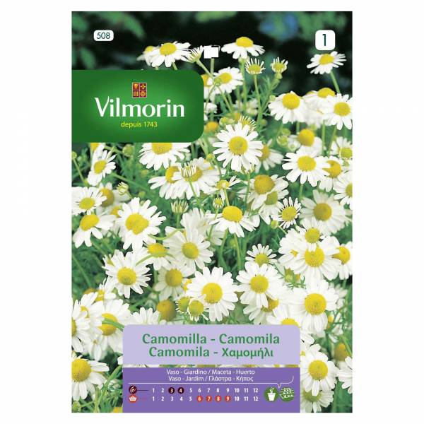 VILMORIN CAMOMILE