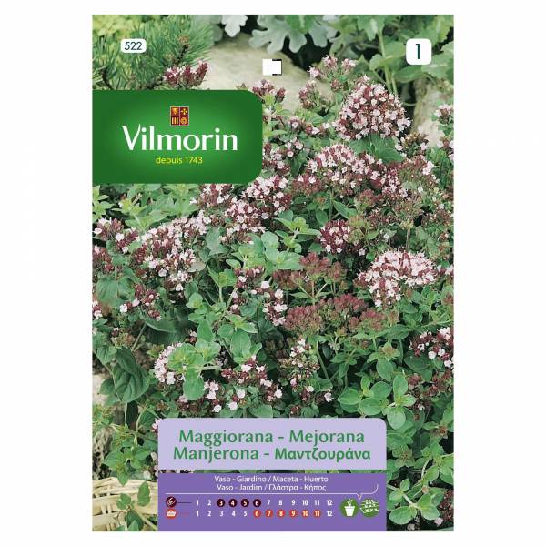 VILMORIN MARJORAM