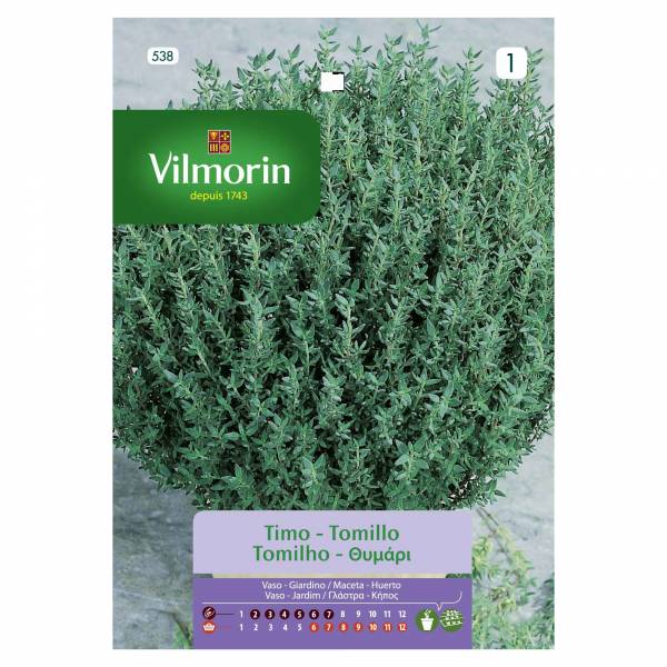 VILMORIN THYME