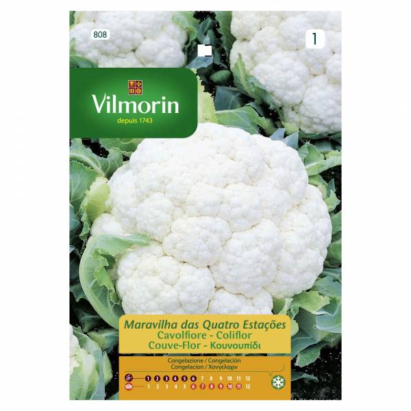 VILMORIN CAULIFLOWER 4 SEASONS