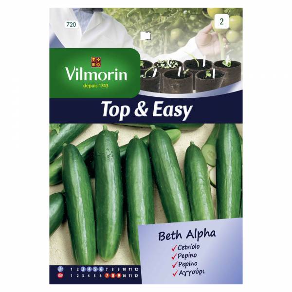 VILMORIN CUCUMBER