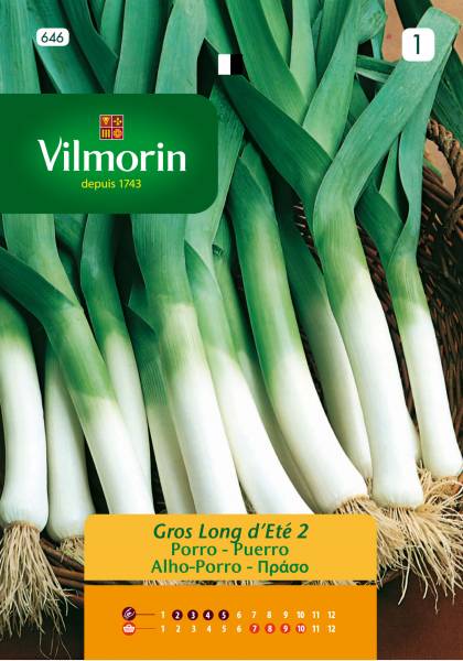 VILMORIN LEEK LONG