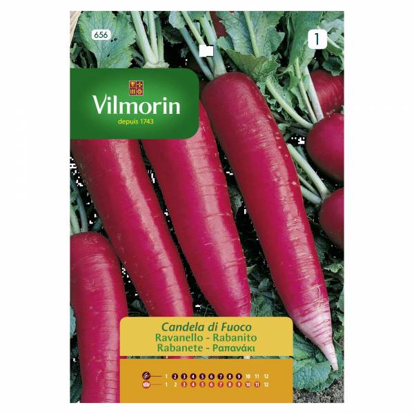 VILMORIN RADISH LONG