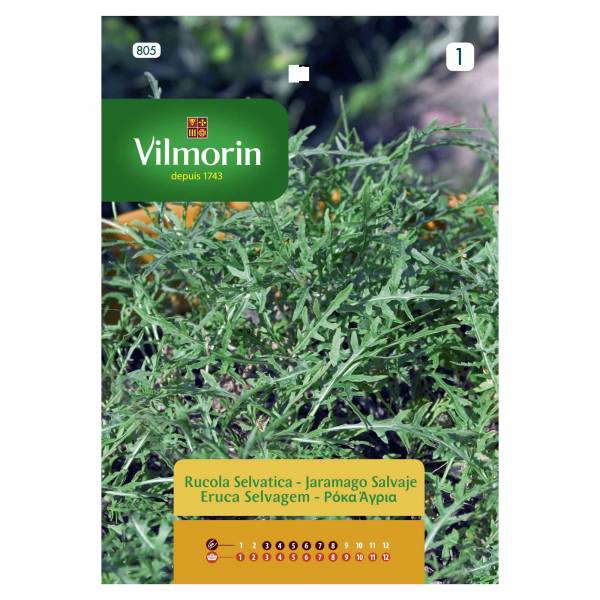 VILMORIN ROCKET WILD