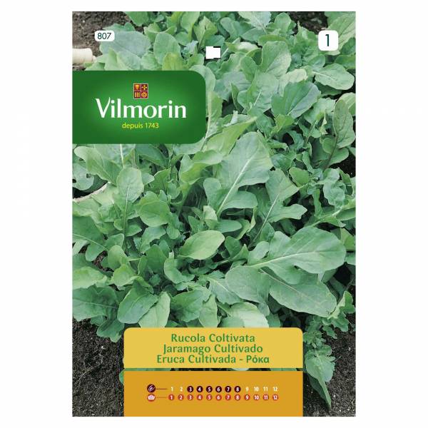 VILMORIN ROCKET CULTIVABLE