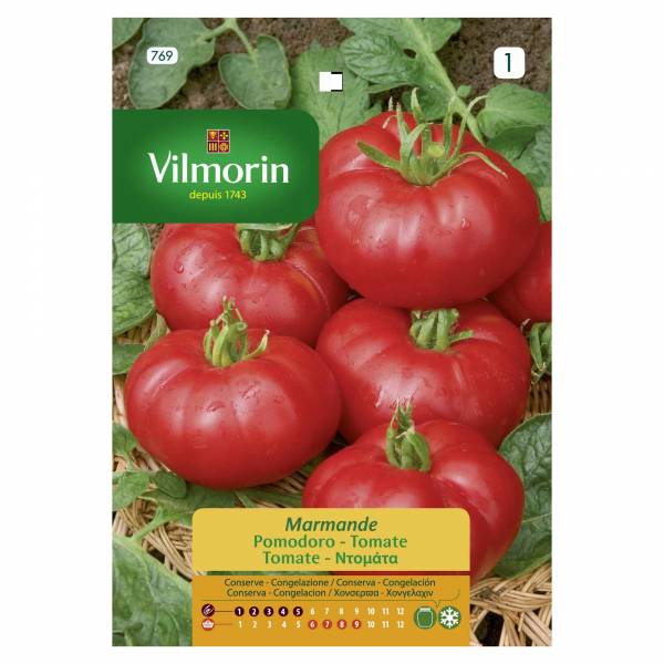 VILMORIN TOMATO MARMANDE