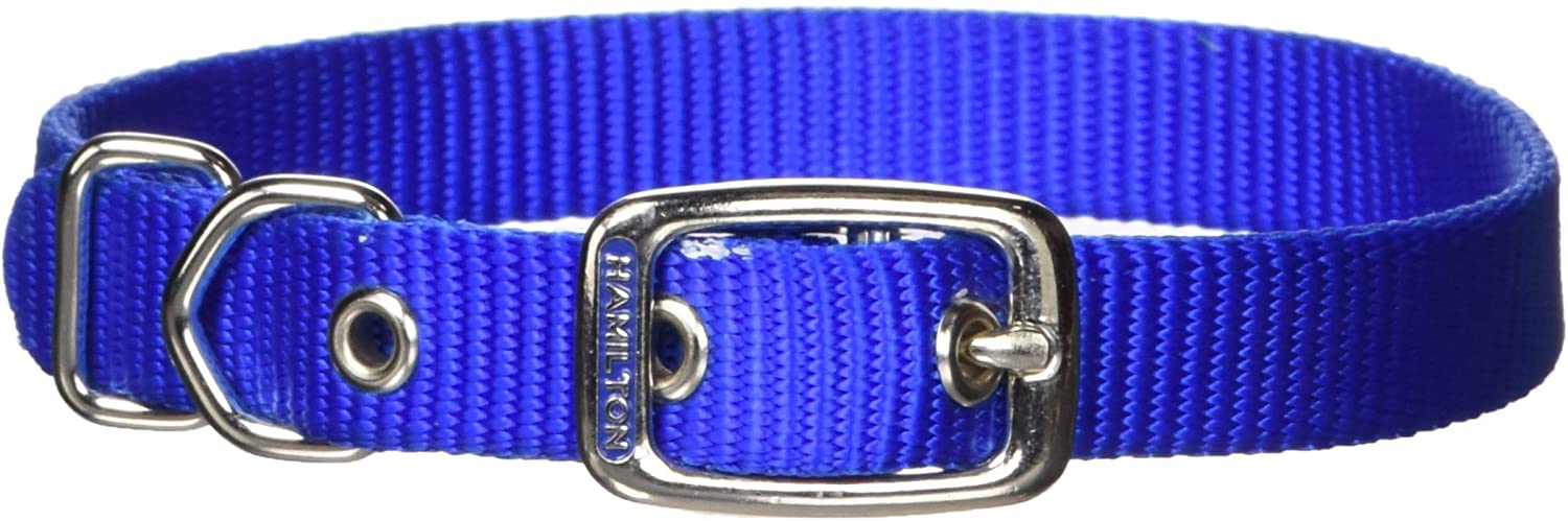 HAMILTON ST 5/8 COLLAR BLUE 14