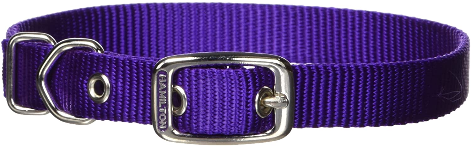 HAMILTON ST 5/8 COLLAR PURPLE 14