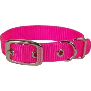 HAMILTON ST 5/8 COLLAR HOT PINK 16