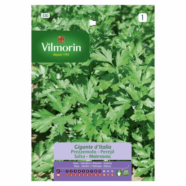 VILMORIN PARSLEY GIANT