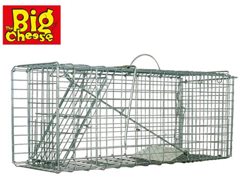 BIG CHEESE ANIMAL CAGE TRAP 67X27X28CM 