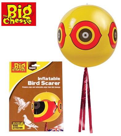 BIG CHEESE EYEBALL BIRD SCARER 