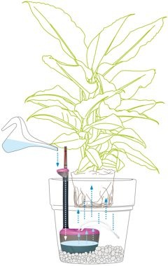 AQUAFLORA MINI WATERING SYSTEM