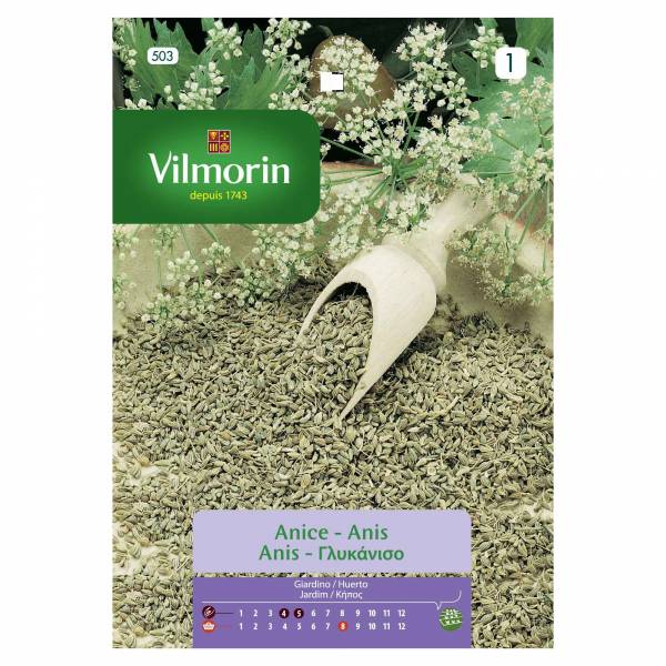 VILMORIN ANISE 3GR