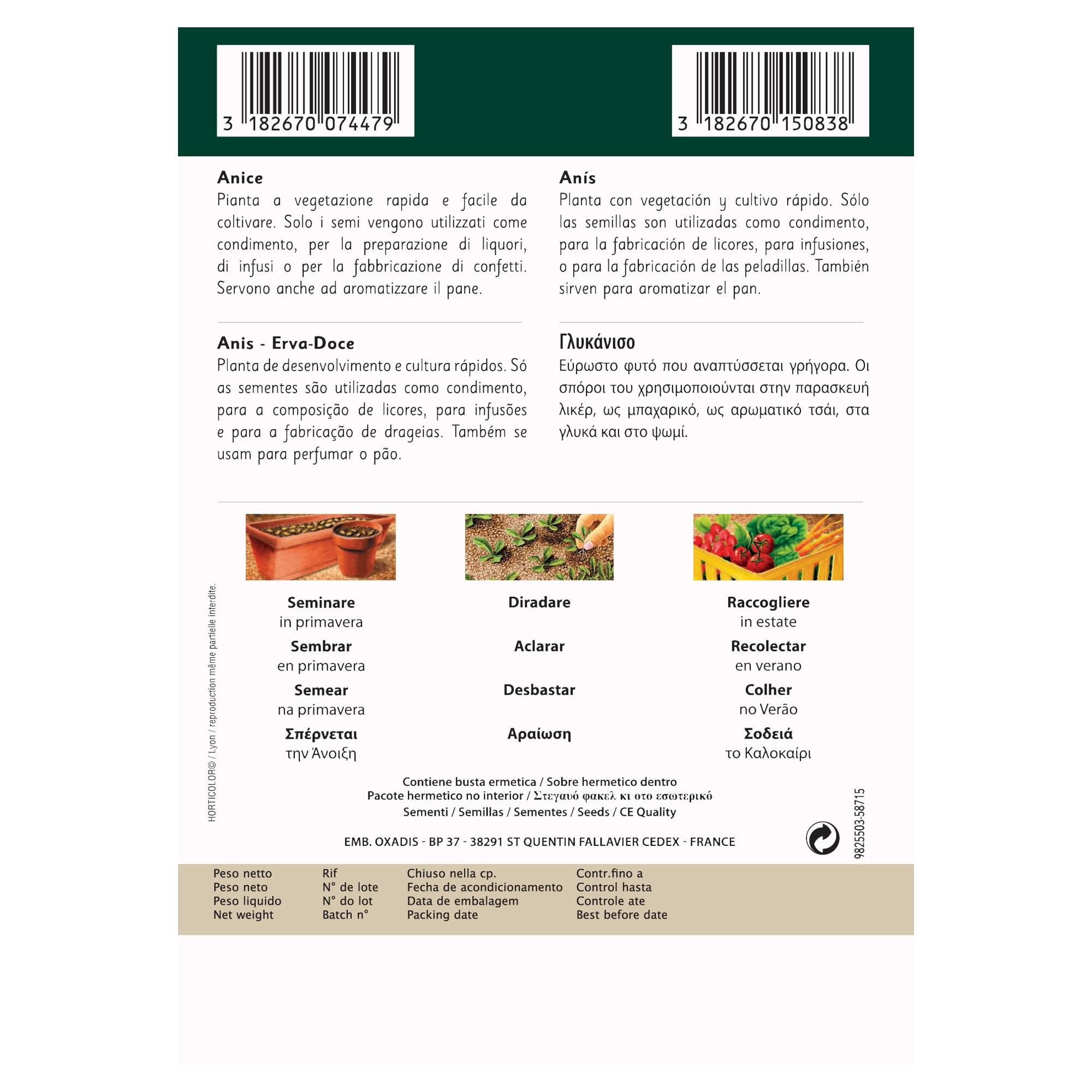 VILMORIN ANISE 3GR