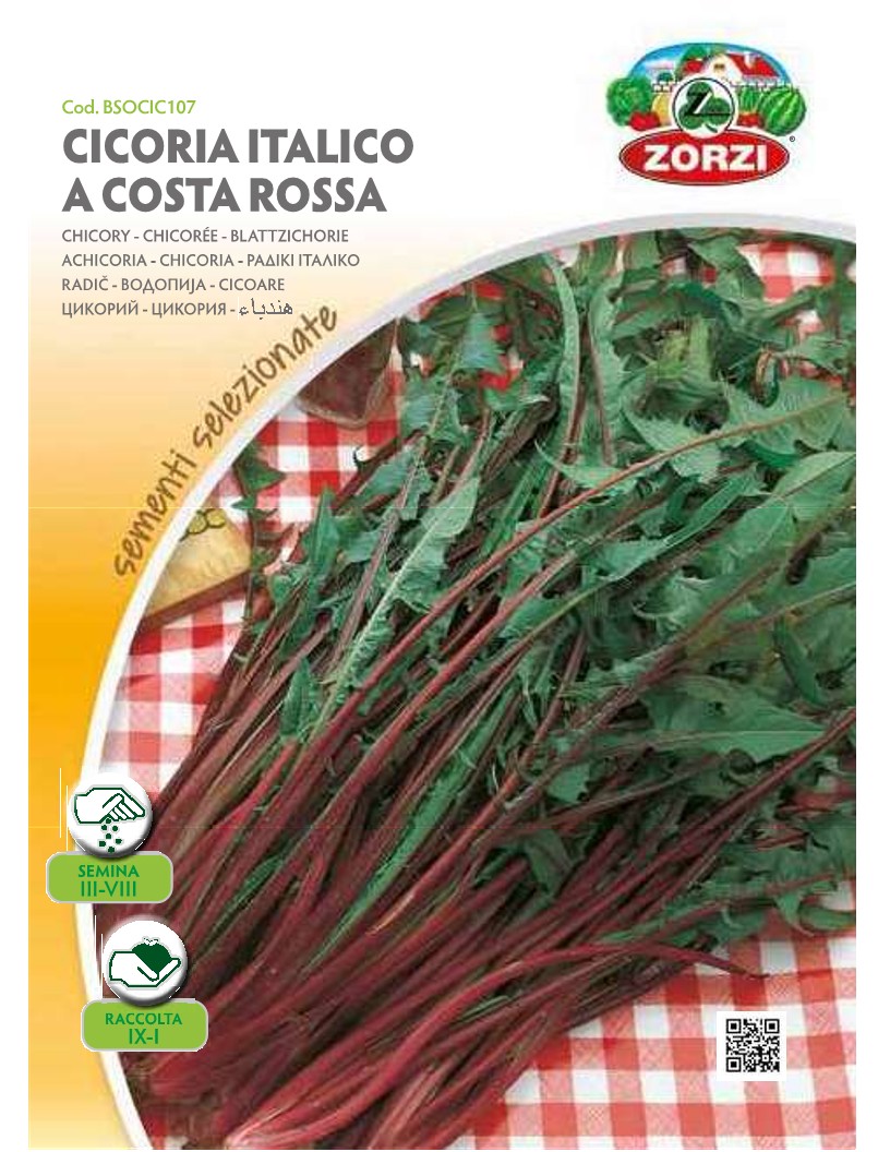 ZORZI BSOCIC107 RADIKI ITALIK.RED