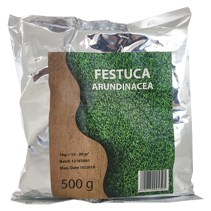 FESTUCA SEEDS 500GR