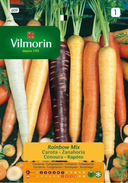 VILMORIN CARROT MIXED COLOURS