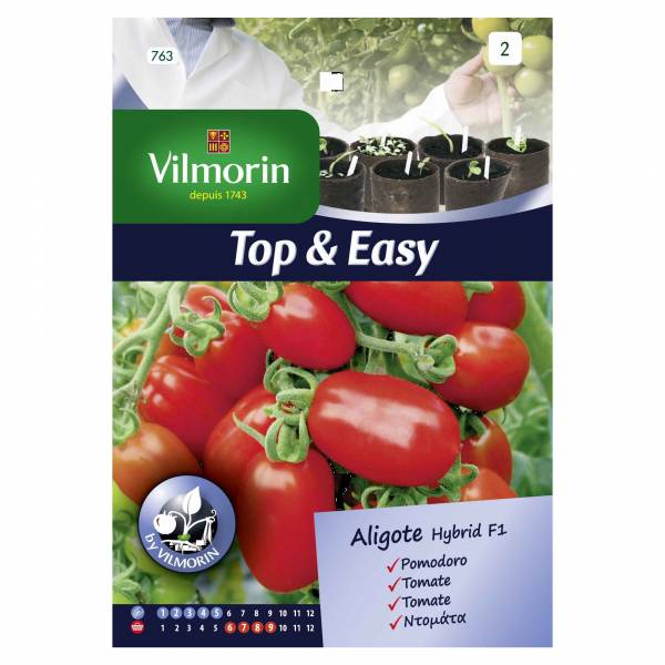 VILMORIN TOMATO ALIGOTE TOP&EASY