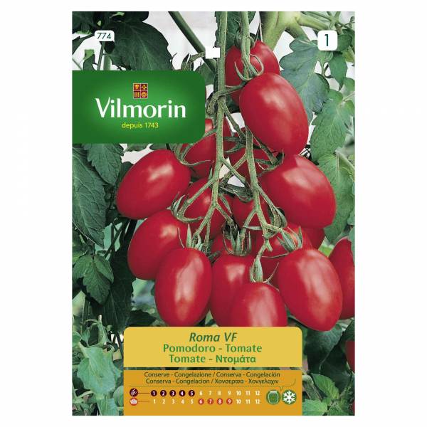 VILMORIN TOMATO ROMA