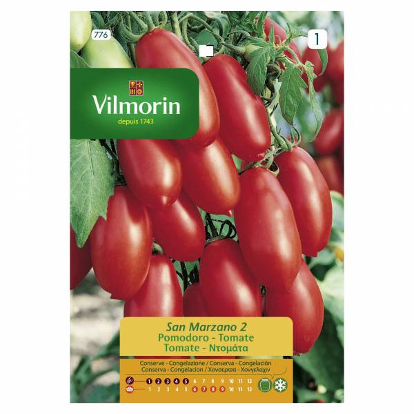 VILMORIN TOMATO SAN MARZANO