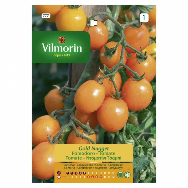 VILMORIN TOMATO GOLD NUGGET