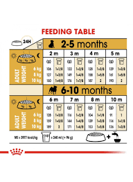 ROYAL CANIN PUG JUNIOR 1.5KG