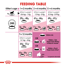 ROYAL CANIN KITTEN CAT 2KG