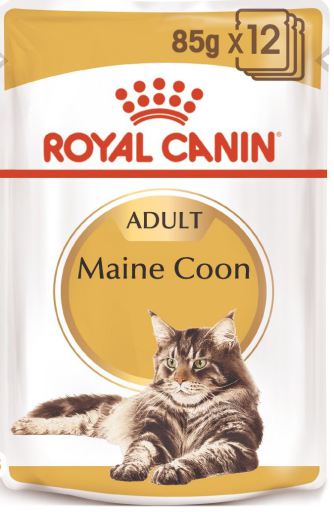 ROYAL CANIN MAINE COON ADULT POUCH 85G