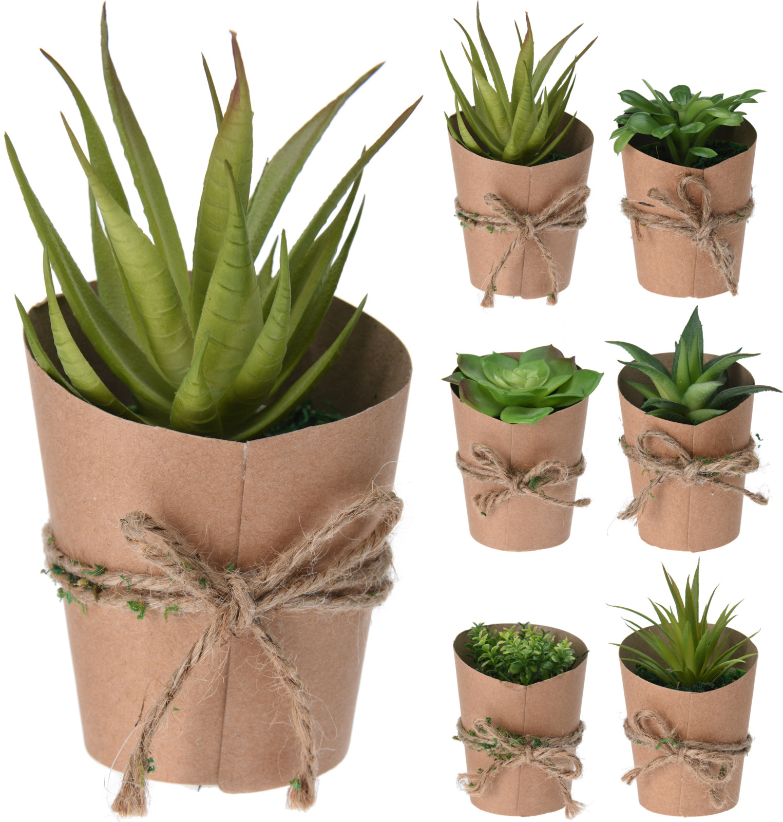 SUCCULENT PLANT POT 15CM 6ASS