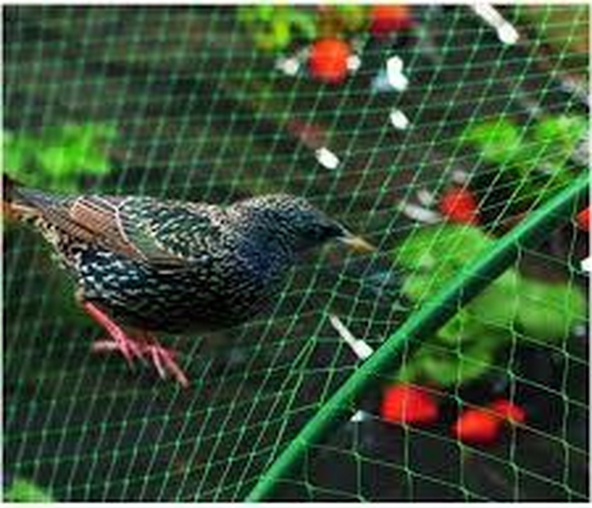 GARDEN TREE NET 4X5M GREEN