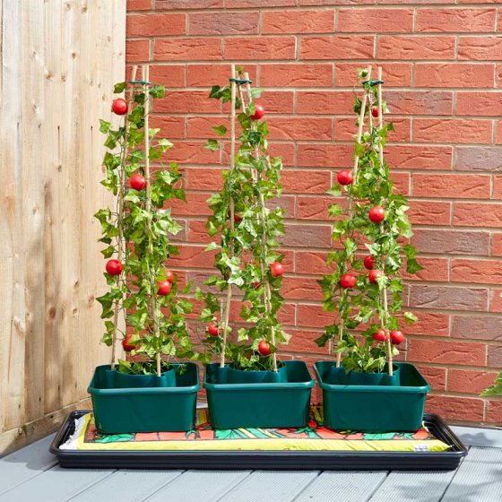 SMART 6512007 TOMATO GRO-BOX 27CM X 27CM X 15.5CM 3PCS