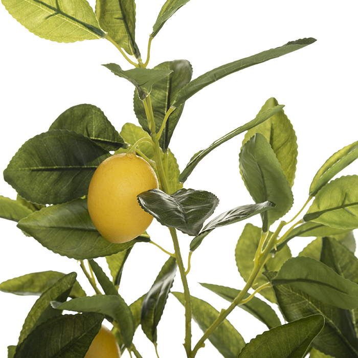 ATMOSHERA 179314 LEMON TREE HEIGHT 70CM