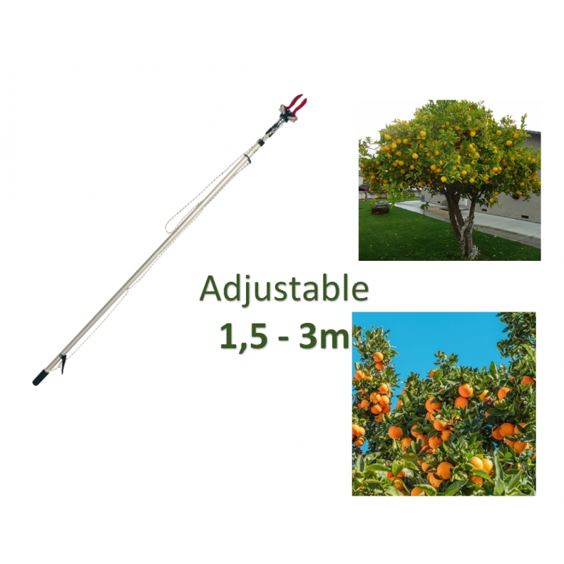 KODIA FRUIT GATHERER 1.5-3M