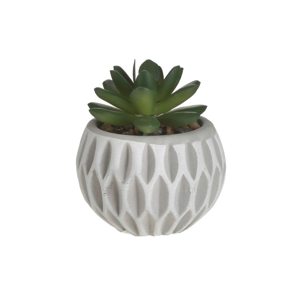 SUCCULENT CEMENT POT D8XH9 2 ΔΙΑΦΟΡΕΤΙΚΑ ΣΧΕΔΙΑ