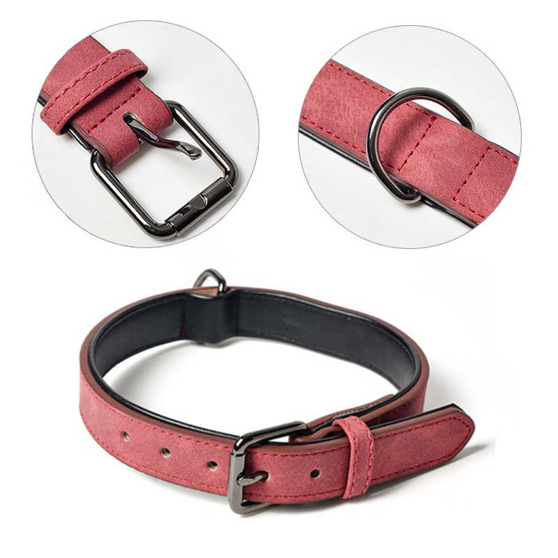 HOMESTAR LEATHER COLLAR