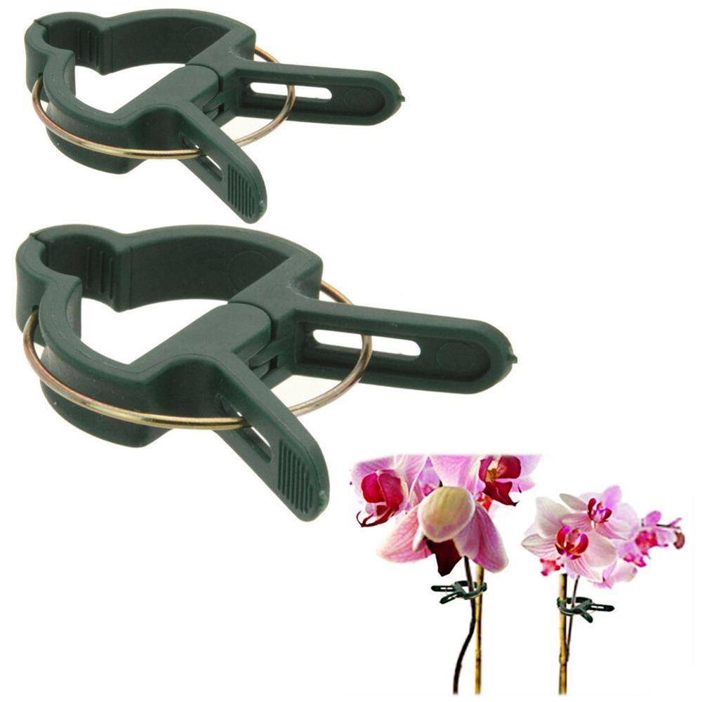 PROGRADEN PLANT CLIP 20PCS