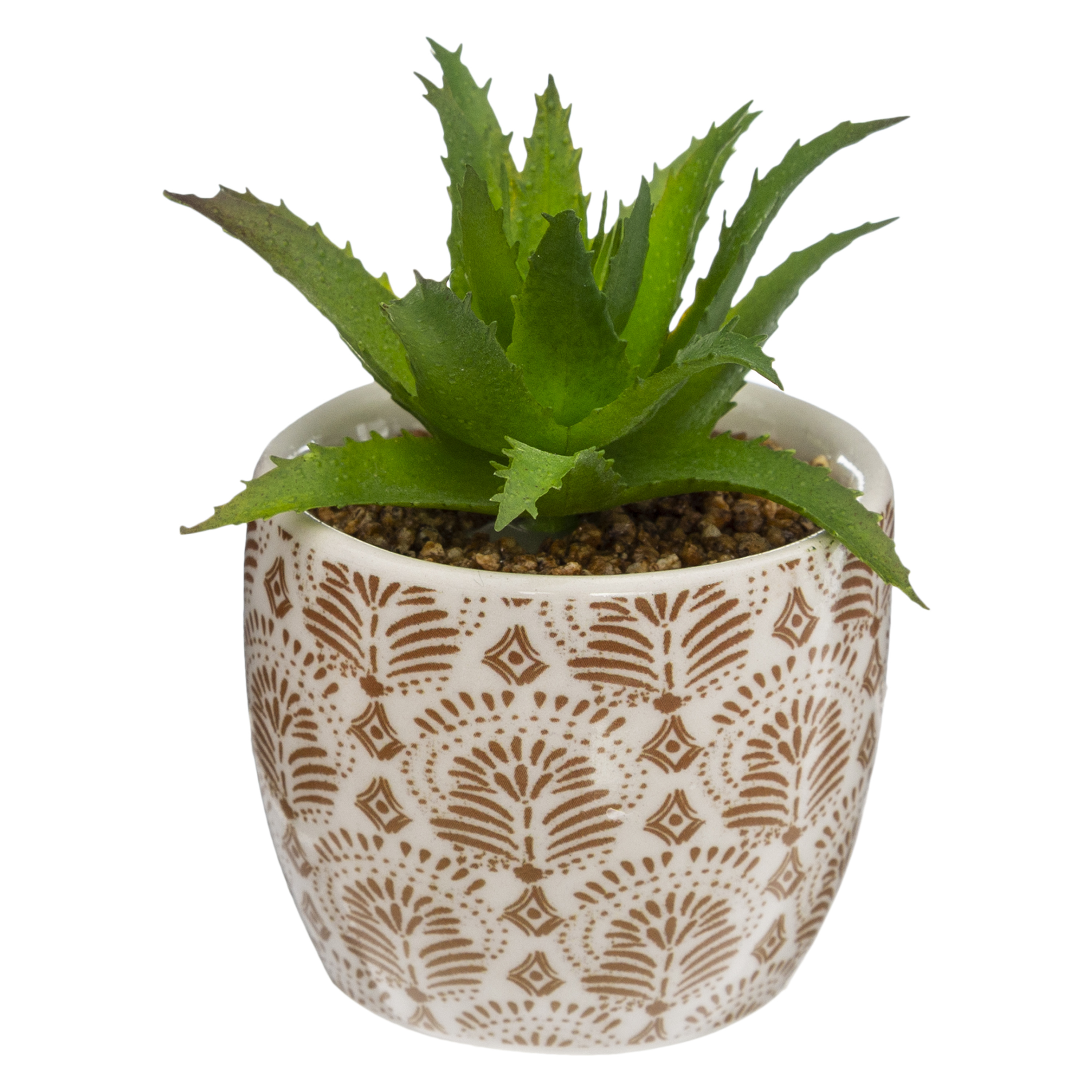 PLANT WITH PRINTED CERAMIC POT D5.5CM 4 ASSORTED DESIGNS