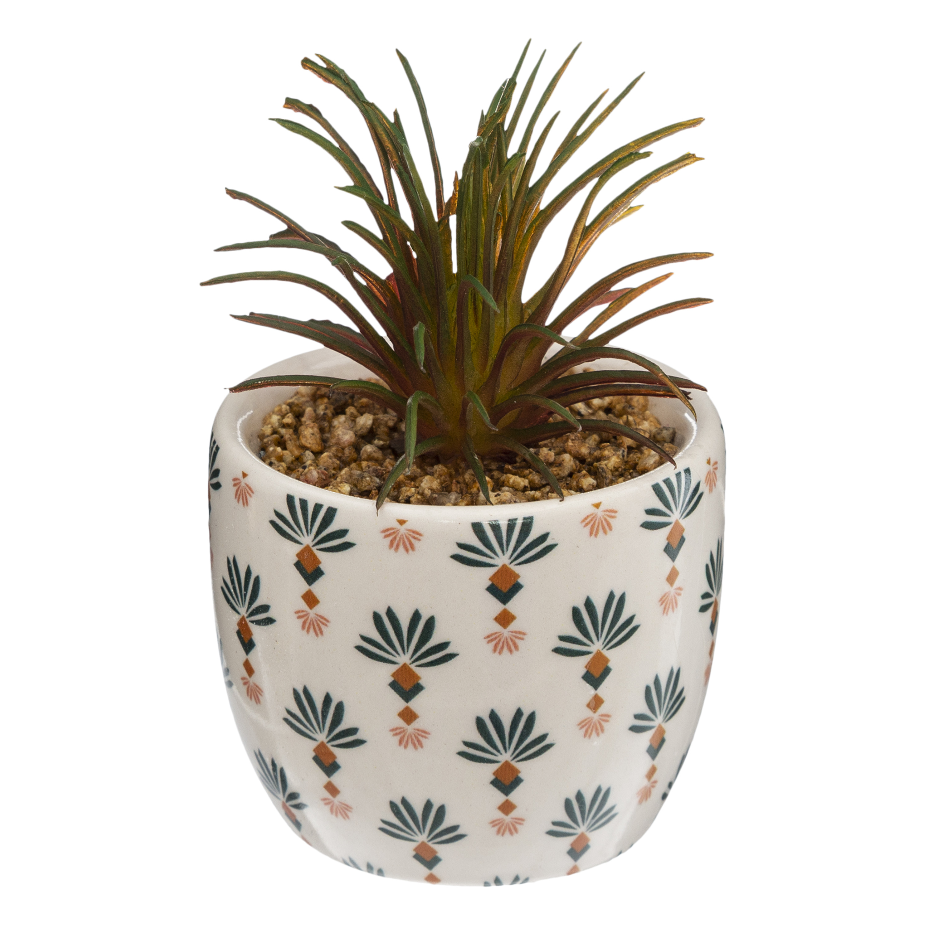 PLANT WITH PRINTED CERAMIC POT D5.5CM 4 ASSORTED DESIGNS